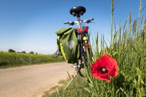 Randonnées à vélo